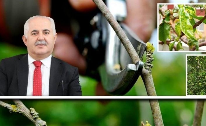 Van’da çiftçilere hastalık ve zararlılara karşı mücadele uyarısı