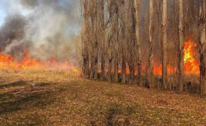 Van’da sazlık yangını