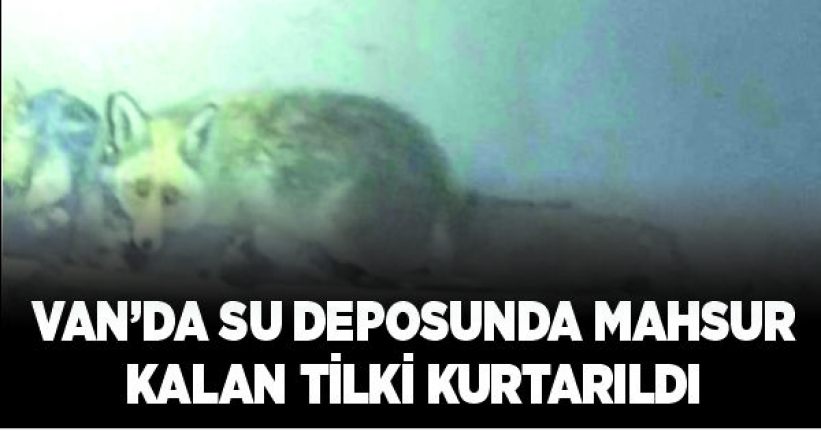 Van’da su deposunda mahsur kalan tilki kurtarıldı