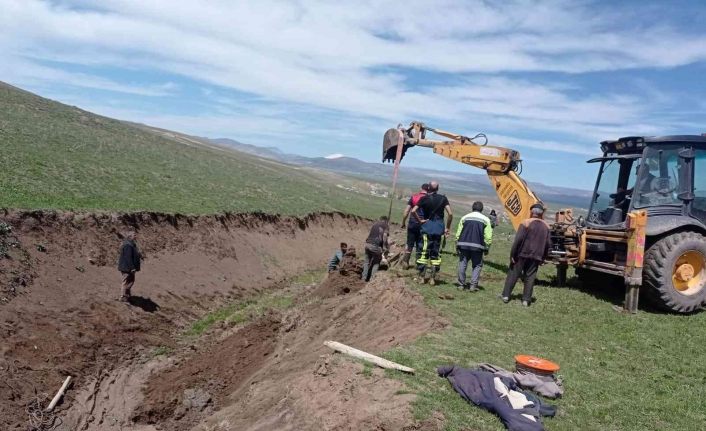 Bataklığa saplanan büyükbaş hayvan kurtarıldı
