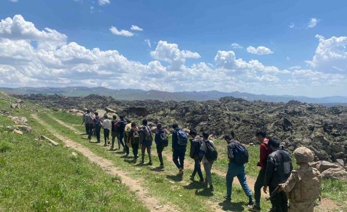 Çaldıran’da 15 düzensiz göçmen yakalandı