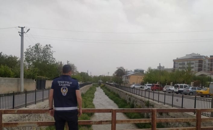Derede kaçak avlanan inci kefali balığı yeniden suya bırakıldı
