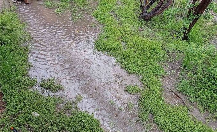 Erciş’te yağmur ve dolu yağışı