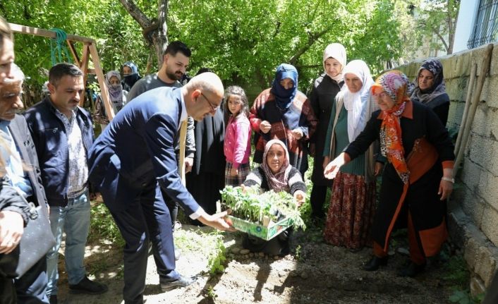 İpekyolu Belediyesinden sebze fidesi dağıtımı