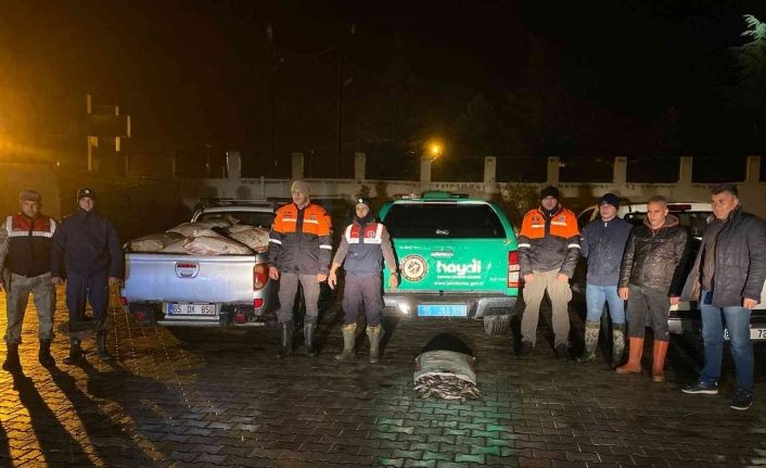 Muradiye’de 3 ton kaçak avlanmış balık ele geçirildi