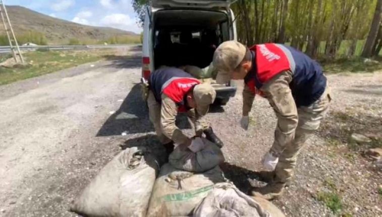 Muradiye’de 450 kilo balık yakalandı