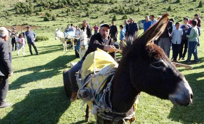 Van’da ‘Eşek Arabası’ yarışması