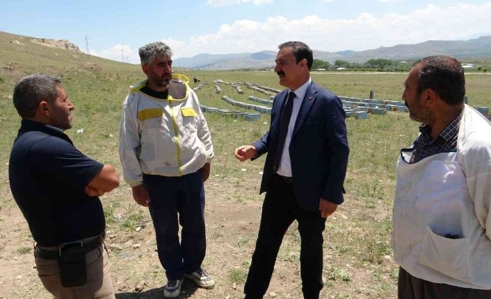 Başkan Süer: “Van’ın gerçek balı ilaçtır”