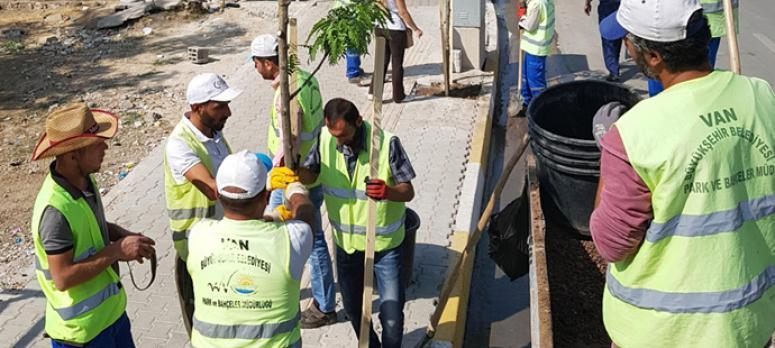 Yeni yollar ağaçlarla donatıldı