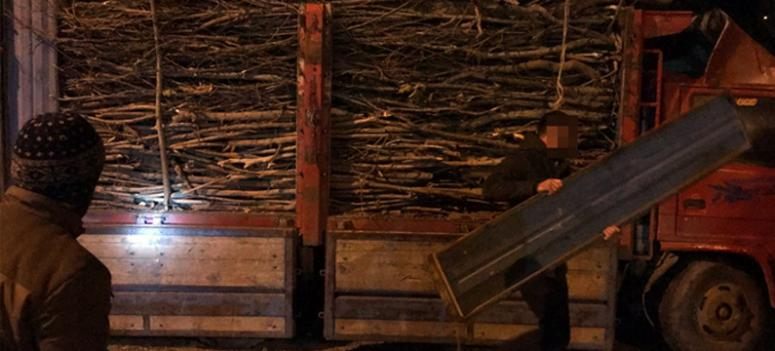 Ağaç dallarının arasında 40 bin paket kaçak sigara ele geçirildi