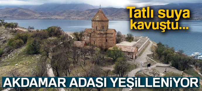 Tatlı suya kavuşan Akdamar Adası yeşilleniyor