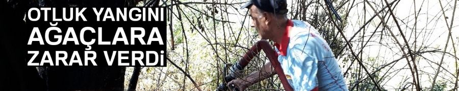 Otluk yangını ağaçlara zarar verdi