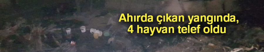 Ahırda çıkan yangında, 4 hayvan telef oldu