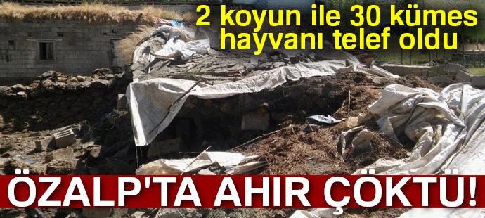 Özalp çöken ahırda 2 küçük baş hayvan ile 30 kümes hayvanı telef oldu