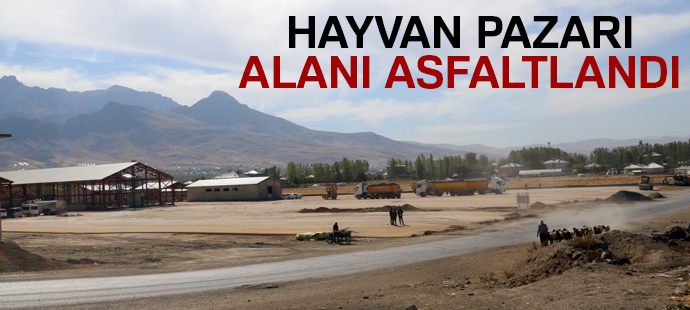 Hayvan pazarı alanı asfaltlandı