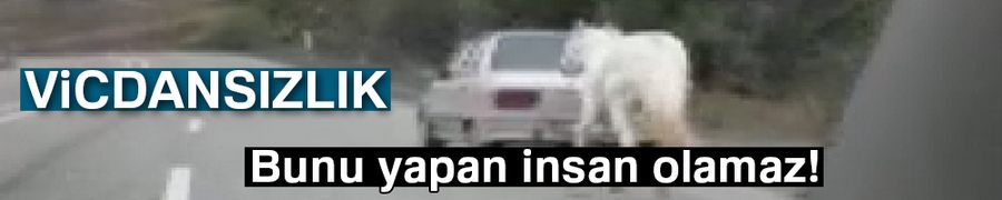Atı otomobilin arkasına bağladı