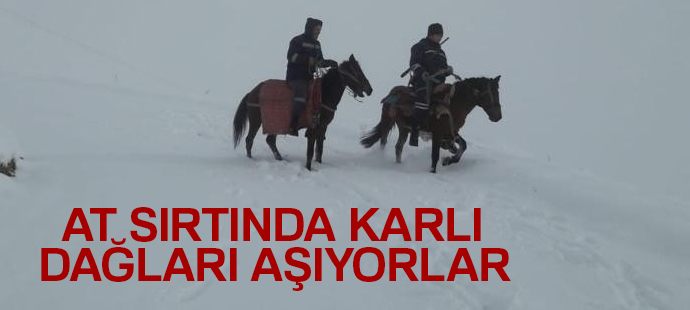 At sırtında karlı dağları aşıyorlar