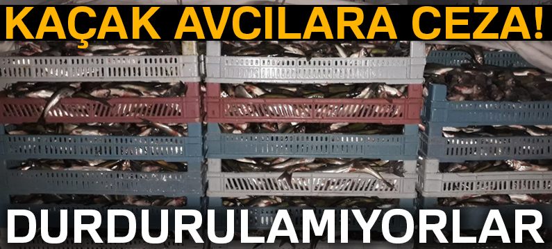 Jandarmadan kaçak avcılara geçit yok