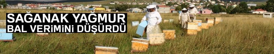 Sağanak yağmur bal verimini düşürdü