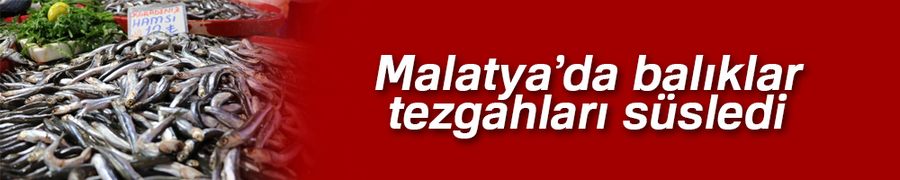 Balıklar tezgahları süsledi