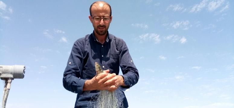 Balıkçılar, kaçak avcıların mağduru oldu