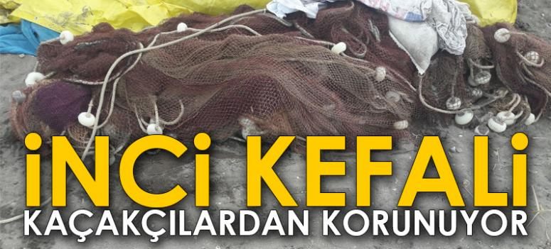 Jandarma kaçak avcılığa geçit vermiyor