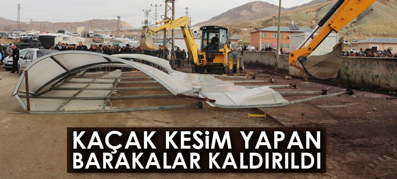 Kaçak kesim yapılan barakalar kaldırıldı