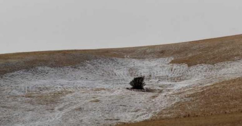 Başkale