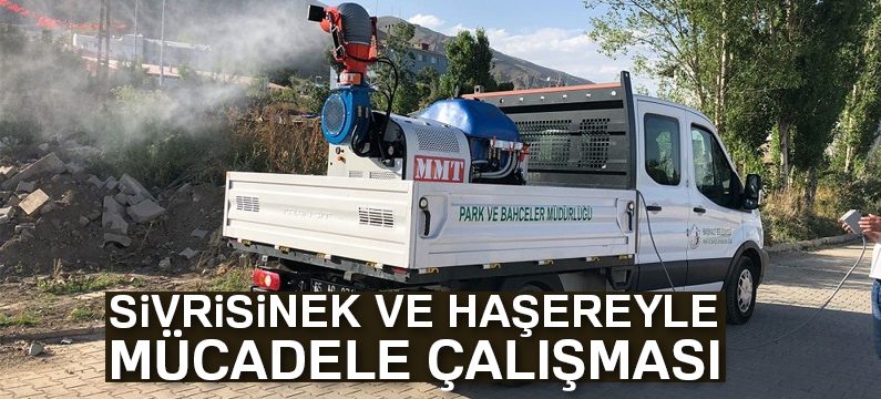 Başkale Belediyesinden sivrisinek ve haşereyle mücadele çalışması