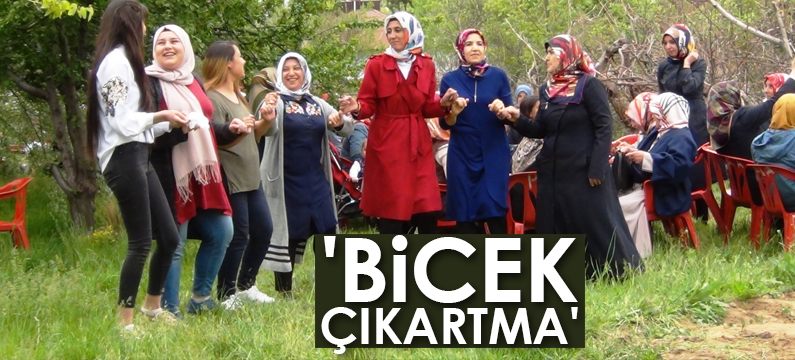 Erciş
