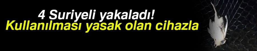 Yasak cihazla bıldırcın avı yapan 4 şahıs yakalandı