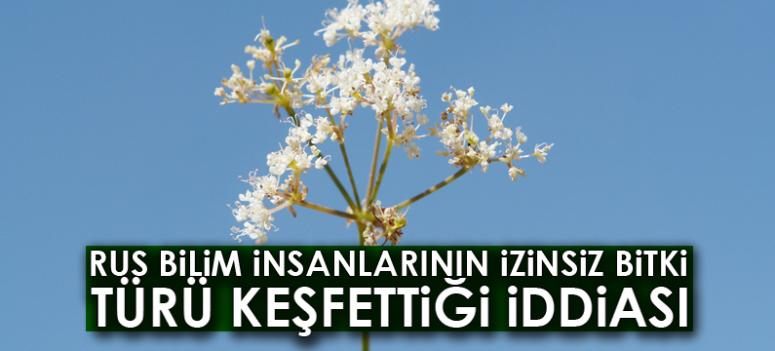 Rus bilim insanlarının izinsiz bitki türü keşfettiği iddiası