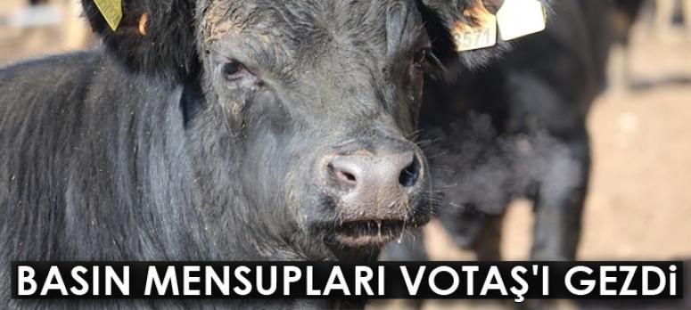 Basın mensupları VOTAŞ