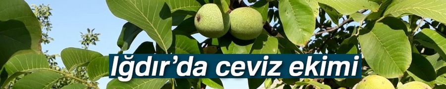 Iğdır