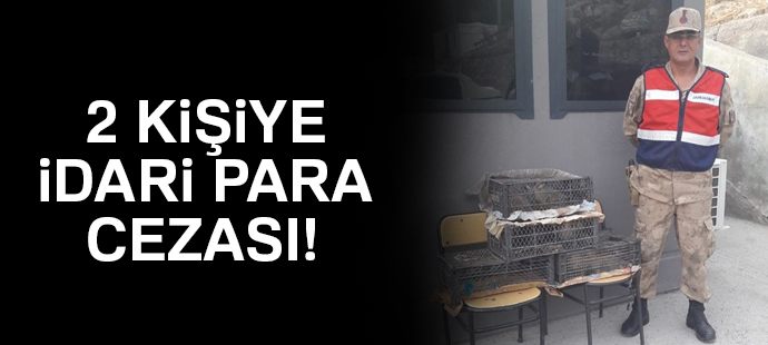 Kaçak keklik avlayan 2 kişiye 10 bin 348 TL idari para cezası kesildi