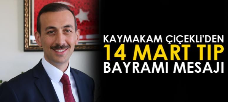Kaymakam Çiçekli