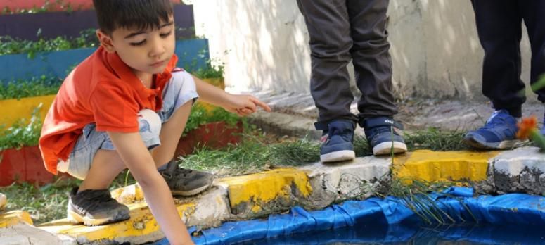 Miniklerden sebze yetiştiriciliği