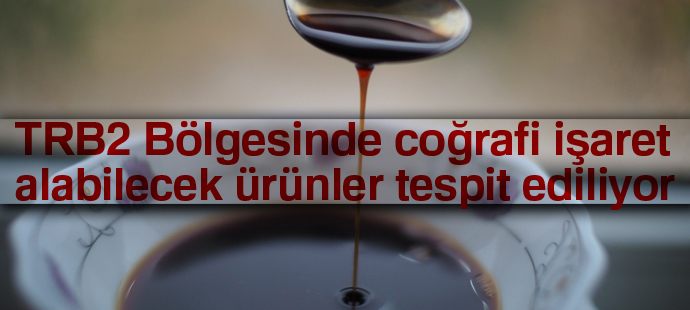 TRB2 Bölgesinde coğrafi işaret alabilecek ürünler tespit ediliyor