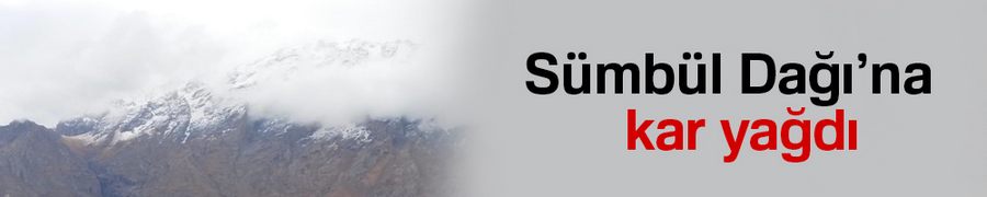 Sümbül Dağı