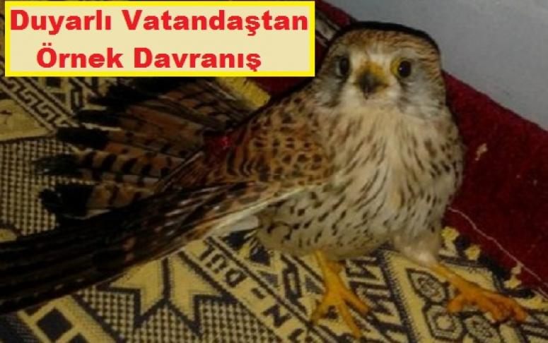 Duyarlı vatandaştan örnek davranış