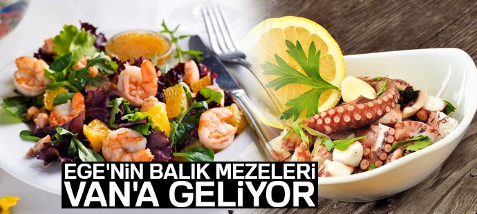 Elite World Chef ile Ege