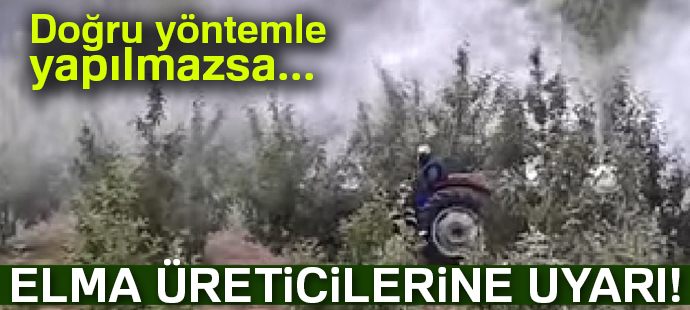 Müdür Görentaş