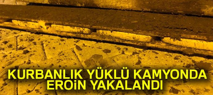 Kurbanlık yüklü kamyonda 104 kilo eroin ele geçirildi