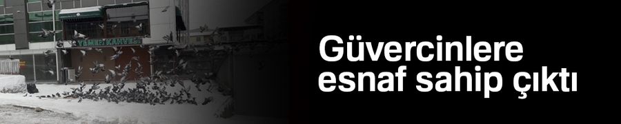 Güvercinlere esnaf sahip çıktı