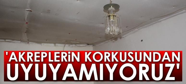 İnşaatı yarım kalan evleri için yardım bekliyorlar