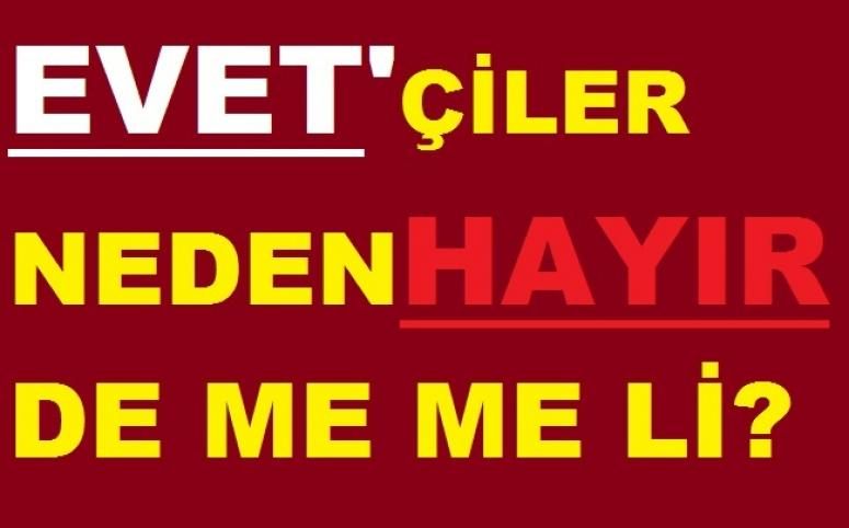 Gazeteci Ziya Türk kararsız Evetçilere seslendi