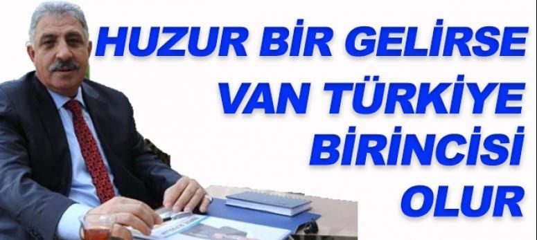 Faruk Alpaslan, 
