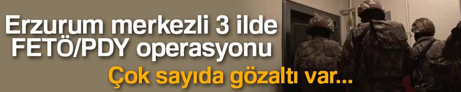 Erzurum merkezli 3 ilde FETÖ/PDY operasyonu: 8 gözaltı