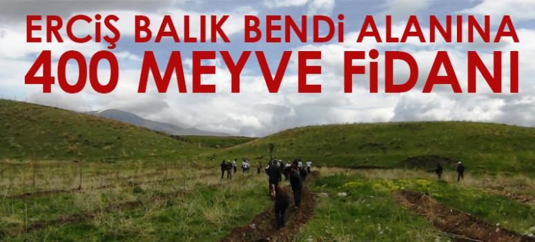 Erciş Balık Bendi alanına 400 meyve fidanı