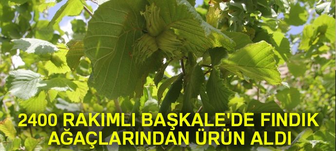 2400 rakımlı Başkale